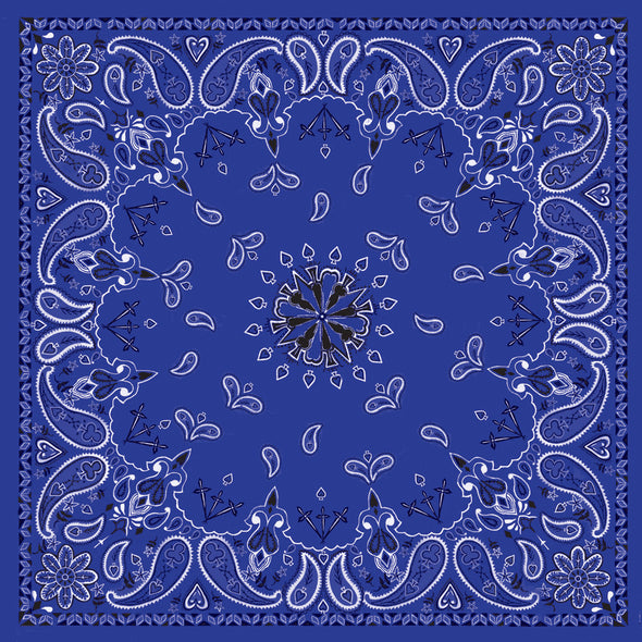 ZAN Bandanna Cycle Refinery
